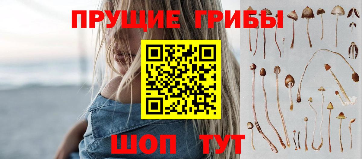 Псилоцибиновые грибы ЛСД  Галлюциногенные грибы ЛСД  Вход с VPN  Волгодонск 